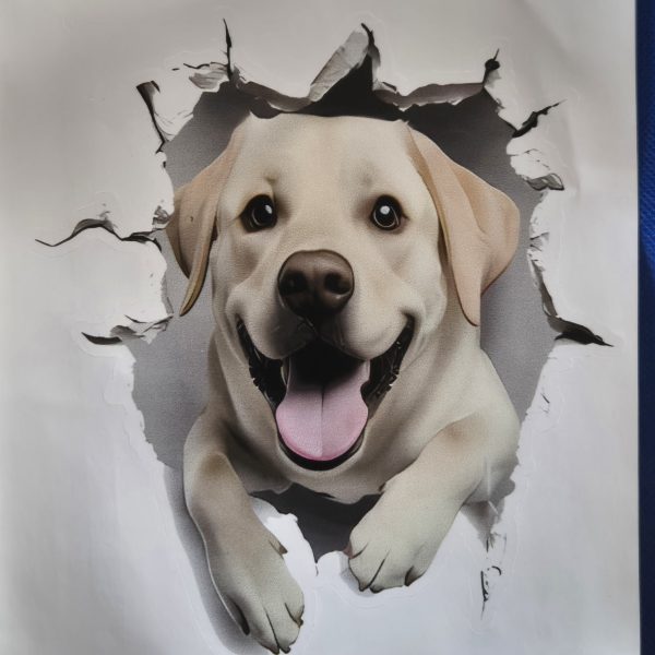 Bildekal Labrador retriever