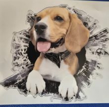 Bildekal Beagle 2