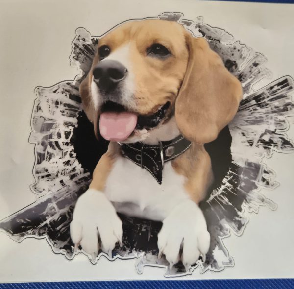 Bildekal Beagle 2
