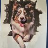 Bildekal Miniature australian shepherd