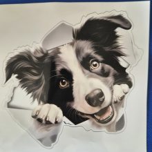 Bildekal Border collie 2