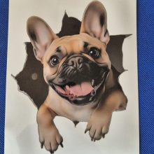 Bildekal Fransk bulldogg