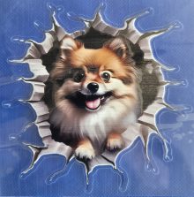 Bildekal Pomeranian