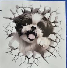 Bildekal Shih tzu