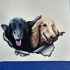Bildekal Afghanhund