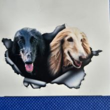 Bildekal Afganhund