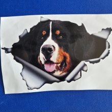 Bildekal Berner sennenhund