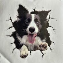 Bildekal Border collie 1