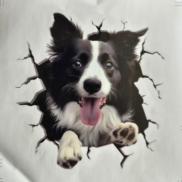 Bildekal Border collie 1
