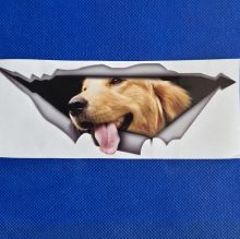 Bildekal Golden retriever