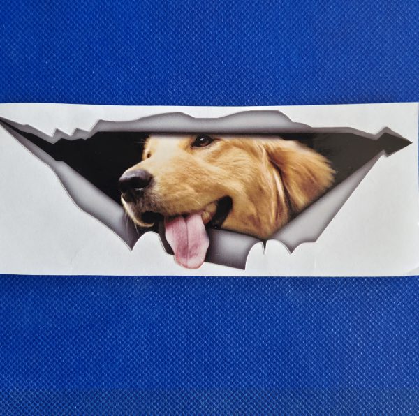 Bildekal Golden retriever