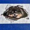 Bildekal Pomeranian 2