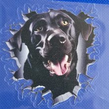 Bildekal Labrador 3