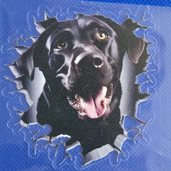 Bildekal Labrador 3