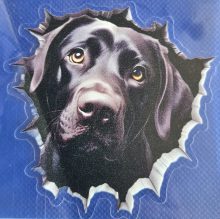 Bildekal Labrador 2