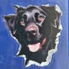 Bildekal Labrador 1