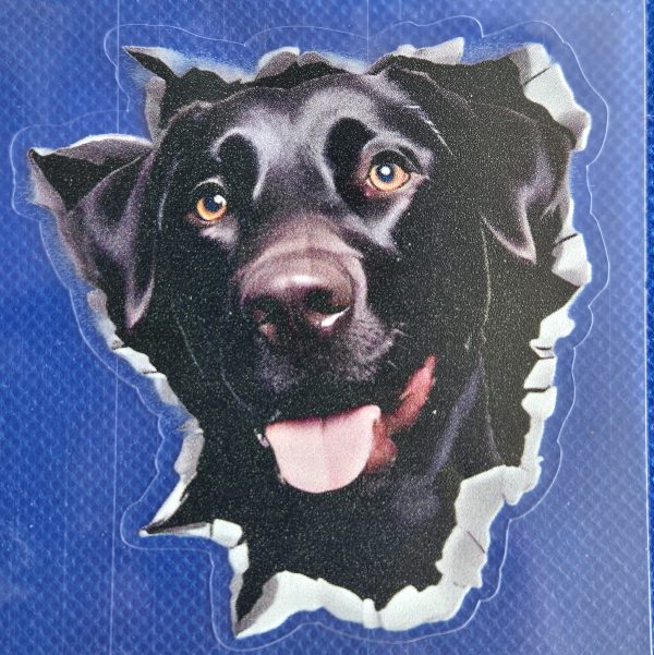 Bildekal Labrador 1