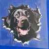 Bildekal Labrador 4