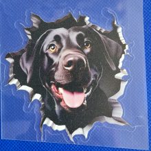 Bildekal Labrador 4