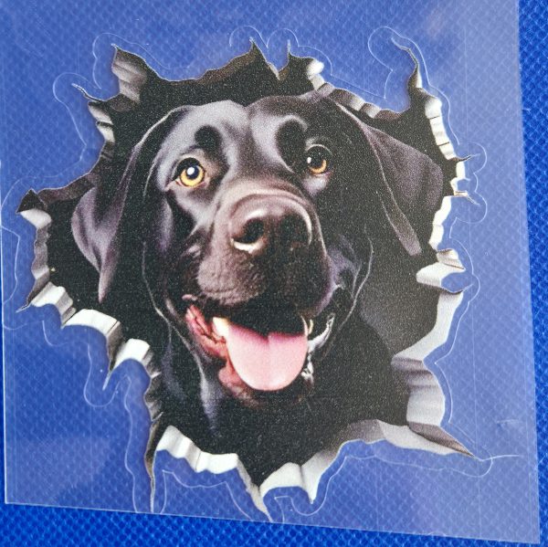 Bildekal Labrador 4