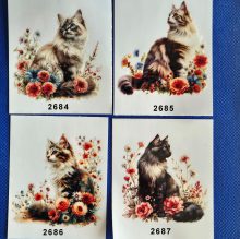 Blomsterkatter