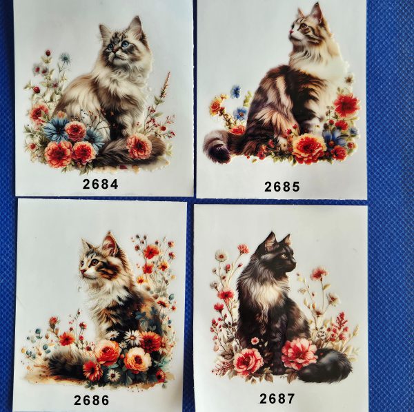 Blomsterkatter