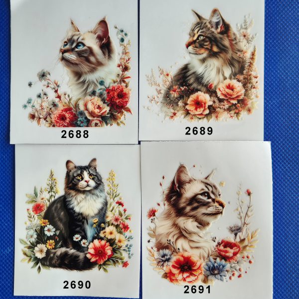 Blomsterkatter - Bild 2