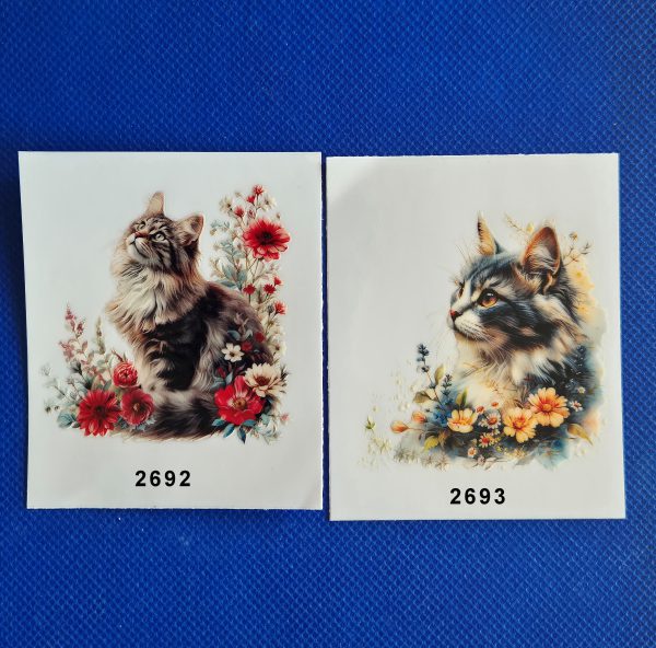 Blomsterkatter - Bild 3