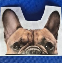 Bildekal kikande Fransk bulldog