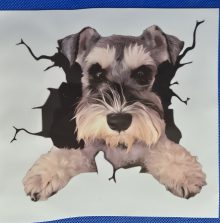 Bildekal schnauzer