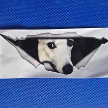 Bildekal whippet 1