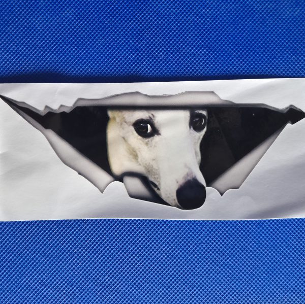 Bildekal whippet 1