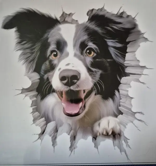 Bildekal Border collie 1