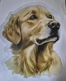 Bildekal Golden retriever 2
