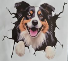 Bildekal Australian shepherd