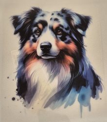 Bildekal Australian shepherd 2