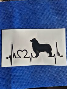 Bildekal Australian shepherd Puls