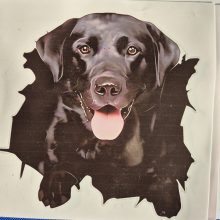 Bildekal Labrador stor